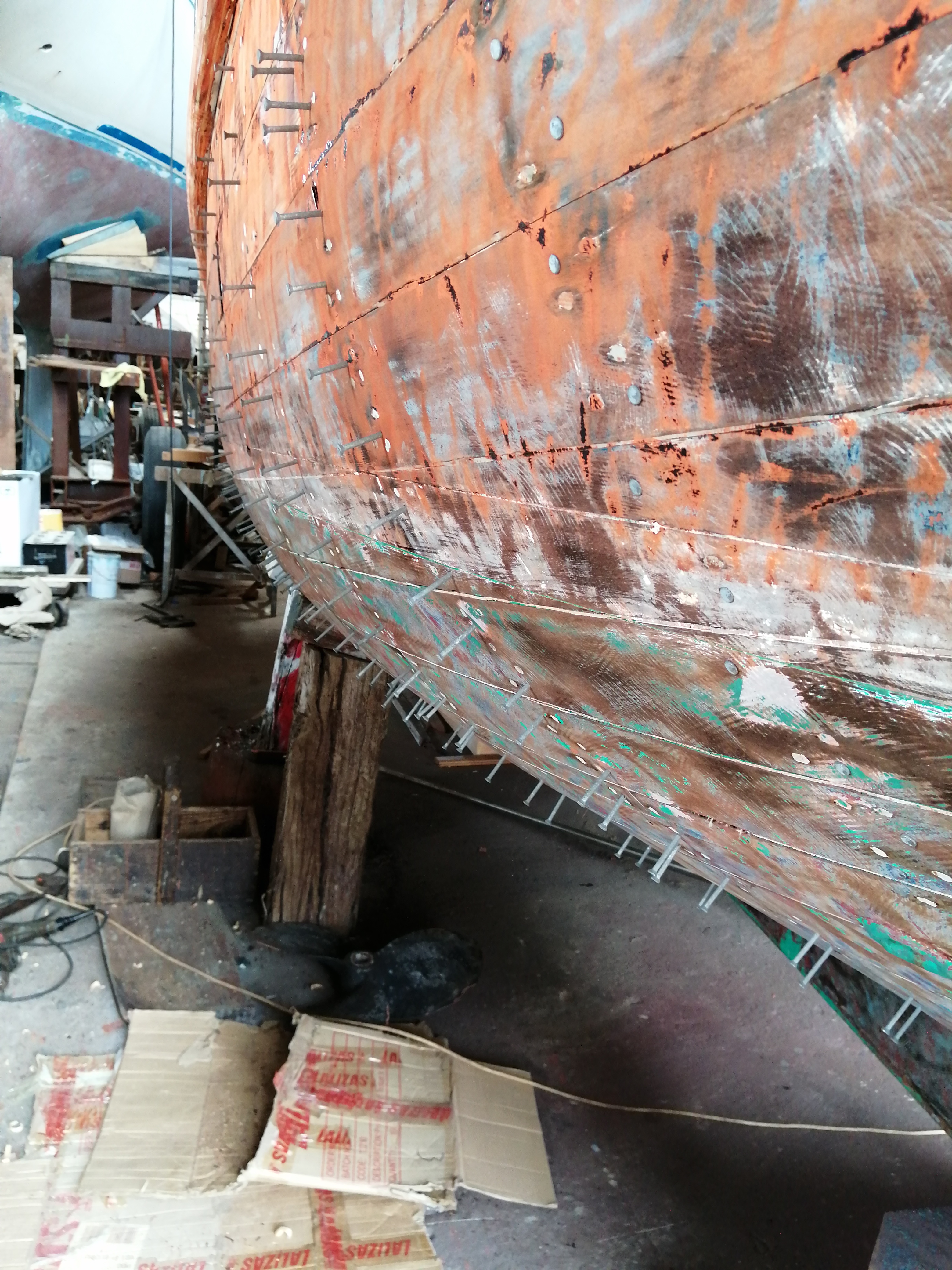 chipironera del Cantábrico